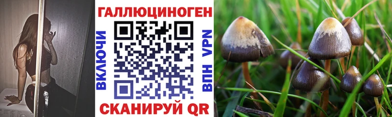 купить наркотик  Майкоп  Псилоцибиновые грибы мицелий 