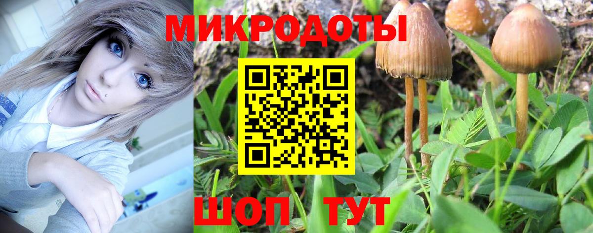 Майкоп  Псилоцибиновые грибы GOLDEN TEACHER  Вход с VPN 