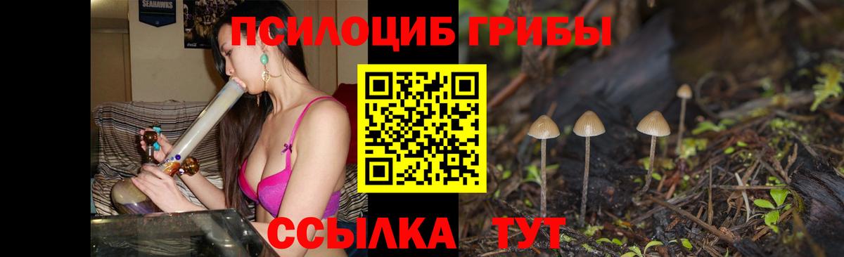 Галлюциногенные грибы Cubensis Майкоп